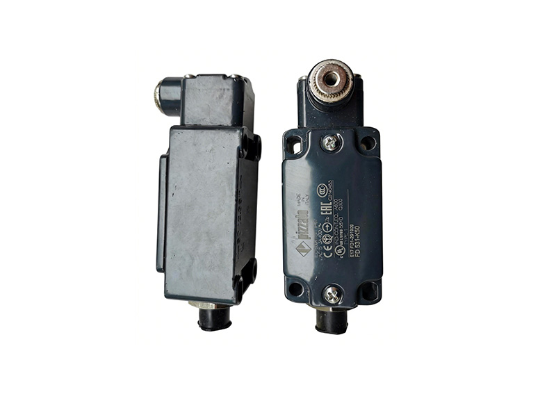 60117974 Limit Switch GY-S-1NO+1NC-75 FD531-K50